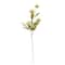 Tan Peony Stem by Ashland®